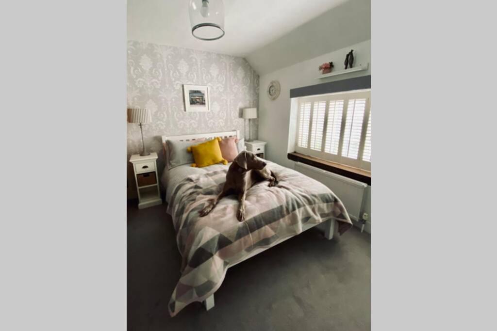 Angel Cottage, Boxgrove, Chichester - Relax And Unwind Zewnętrze zdjęcie